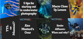 Wetpixel Live: 5 Most Watched Episodes of 2020 Photo