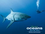 Disneynature Oceans for release on DVD, Blu-Ray and download Photo