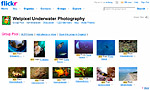 Wetpixel Flickr group logo competition Photo