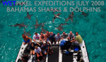 Wetpixel Sharks & Dolphins 2008 expedition a success Photo
