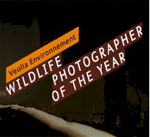 Entries open for Veolia Wildlife Photographer of the year 2012 Photo