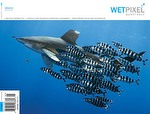 Wetpixel Quarterly Issue 1 is on sale! Photo