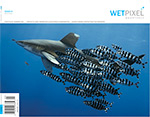 Wetpixel launches Wetpixel Quarterly, a new print magazine Photo