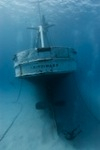 The Kittiwake: Cayman’s newest wreck and artificial reef Photo