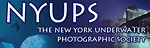 NYUPS hosts presentation on Digital Workflow Basics Photo