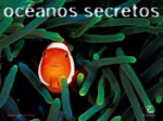 Review of Oceanos Secretos, by Andrea and Antonella Ferrari Photo