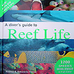 A Diver’s Guide to Reef Life by Andrea and Antonella Ferrari Photo