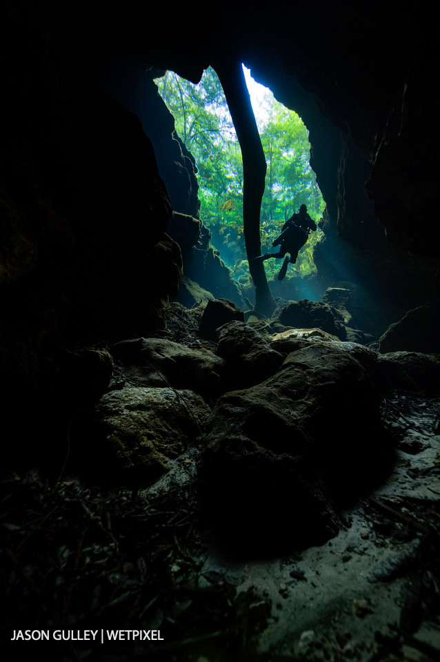 Tree leaves are visible through the clear water of a sinkhole in the Floridan aquifer. Visibility in Florida's caves often exceeds 30 meters.
