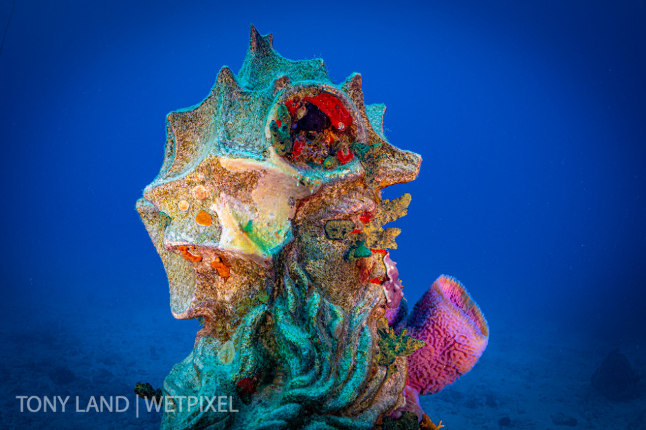 Profile of the Guardian of the Reef statue, Divetech’s house reef in West Bay, Grand Cayman.  