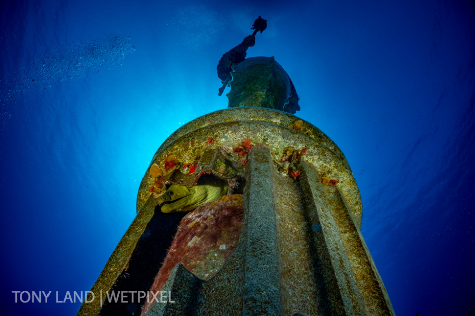 A green moray eel (*Gymnothorax funebris*) hiding inside the Guardian of the Reef statue, Divetech house reef in West Bay, Grand Cayman.  