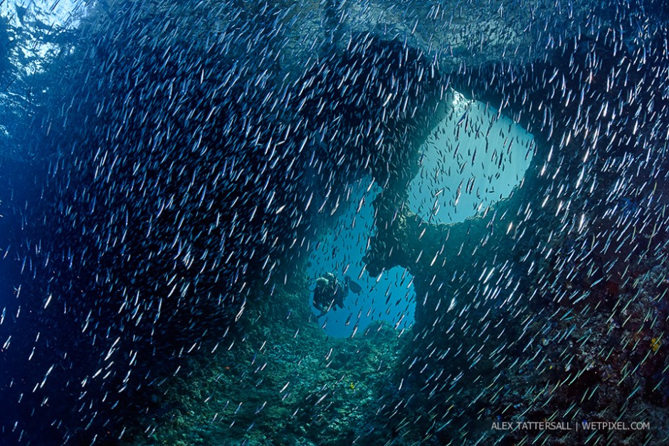 Boo Windows in the Misool Area is a photo site which should feature in everyone’s Raja Ampat portfolio. Here I tried to take a different angle and exploit the schooling silversides for an original take on this beautiful scene.