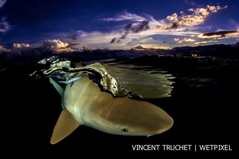 Vincent Truchet: Tuamotu archipelago.