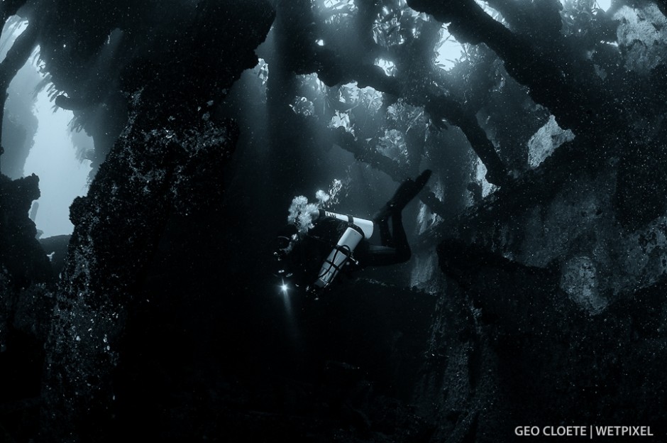 Diver exploring one of the wrecks along the Cape Town coast line.
