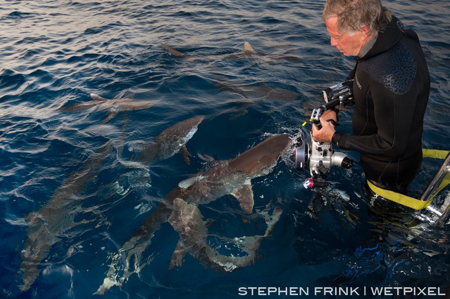 Dennis Liberson captured a shot of Stephen Frink, strapped into the dive ladder, photographing silky sharks at sunset