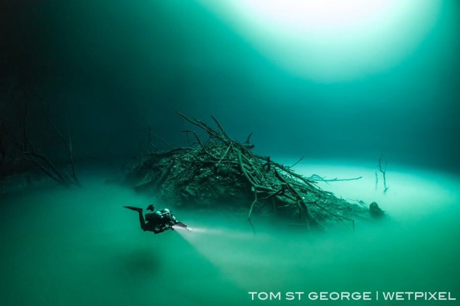 Tom St. George (Cenotes): The debris mound at Cenote Angelita looks like an island surround by the 'river' of hydrogen sulfide gas.