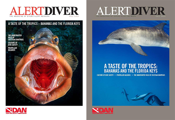 Alert Diver seeks votes for its cover on Wetpixel