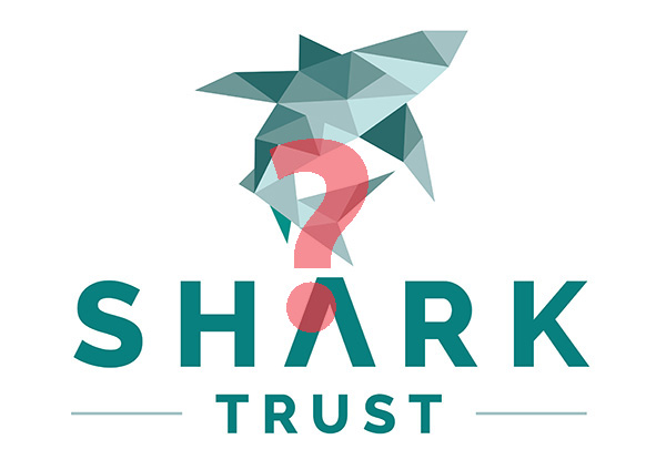 The Shark Trust on Wetpixel