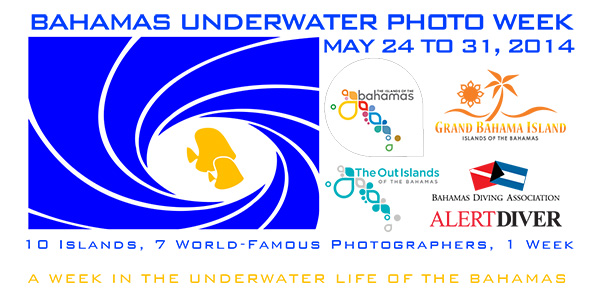 Bahamas Underwater Photo Week