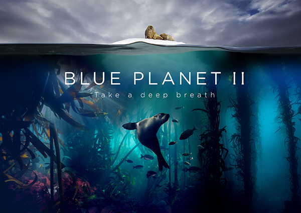 BBC Blue Planet 2 on Wetpixel