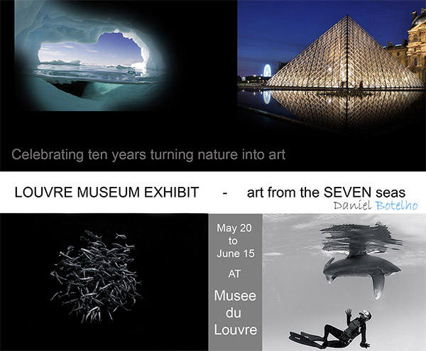 Daniel Botelho exhibits at the Louvre on Wetpixel