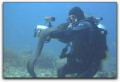 Steve Douglas on underwater video Photo