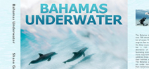 Book Release: Bahamas Underwater by Shane Gross Photo
