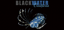 Announcing Blackwater Creatures by Linda Ianniello and Susan Mears Photo
