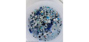 Scientists find second garbage patch larger than Mexico in Pacific Photo