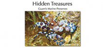 Guam’s Hidden Treasures book available Photo