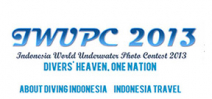 Indonesia World Underwater Photo contest is open Photo