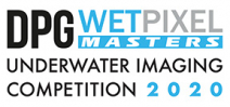 Announcing the DPG/Wetpixel Masters Underwater Imaging Competition 2020 Photo