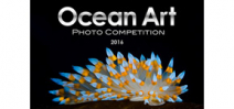 2016 Ocean Art Winners announced Photo