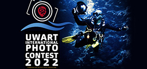 Call for Entries: Underwater Art Photo Contest 2022 Photo