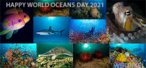 Happy World Oceans Day 2021 Photo