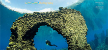 Underwater Photography issue 88 available Photo