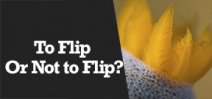 Wetpixel Live: To Flip or Not to Flip Photo