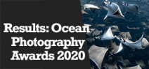 Wetpixel Live: Ocean Photography Awards 2020 Photo