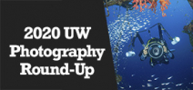 Wetpixel Live: 2020 UW Photography Round-Up Photo