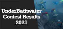 Wetpixel Live: Underbathwater 2021 Photo