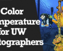 Wetpixel Live: Color Temperature Primer Photo