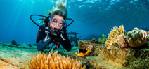 Wetpixel to attend the Red Sea Diving Festival Photo