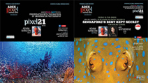 ADEX Pixel/Wetpixel Masters of Underwater Imaging Discussion series Photo