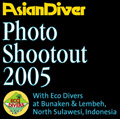 Asian Diver 2005 Shootout, Indonesia Photo