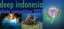 Call for Entries: DEEP Indonesia International Photo Contest Photo
