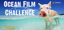 Sylvia Earle announces the HATCH Ocean Film Challenge Photo