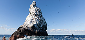Mexico expands Revillagigedos Marine Park Photo
