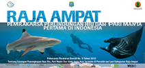 Raja Ampat shark sanctuary becomes law Photo