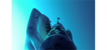 Great white shark predatory behavior captured by underwater drone Photo