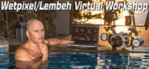 Alex Mustard hosts virtual image review Photo