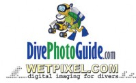 Wetpixel.com/DivePhotoGuide.com International Photo Competition Photo